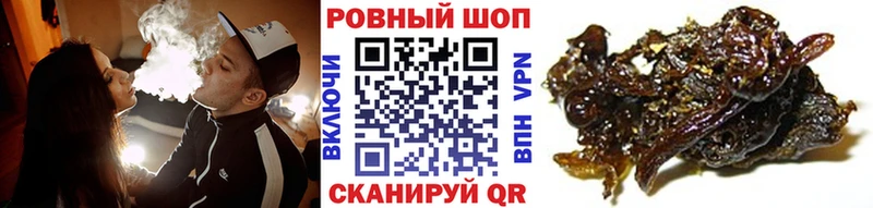 Магазины продажи наркотиков Заволжск Кокаин  Псилоцибиновые грибы  Бошки Шишки  Гашиш  Альфа ПВП 