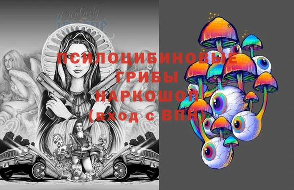 мдпв Михайловск