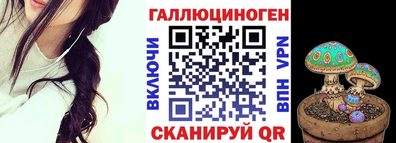 darknet официальный сайт  Заволжск  Галлюциногенные грибы Psilocybe 